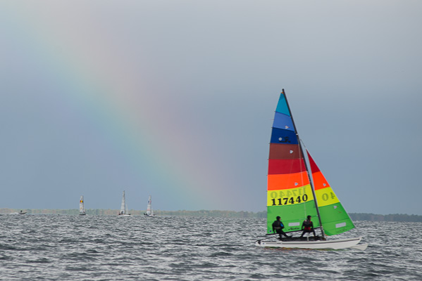 manifestation sportive